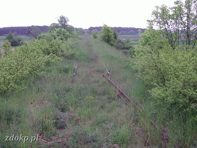 2005-05-23.096 stawiany-kiszkowo widok na gniezno demontaz szyn.jpg - linia Gniezno Winiary -Sawa Wlkp., ok. 32.0 km, pkt 2B - widok w kierunku Kiszkowa, szyny porozkrcane i czciowo zdemomontowane ...
